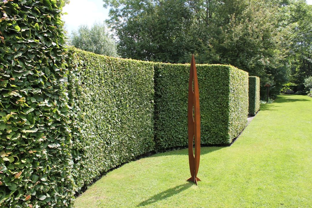 Best Cordless Hedge Trimmers UK 2026