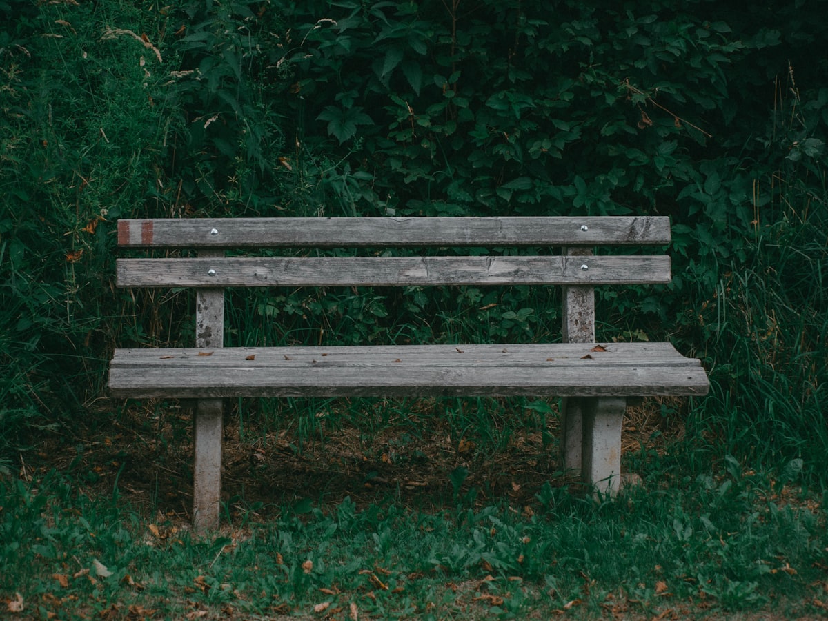 Garden bench made from pressure-treated timber with wood preserver finish