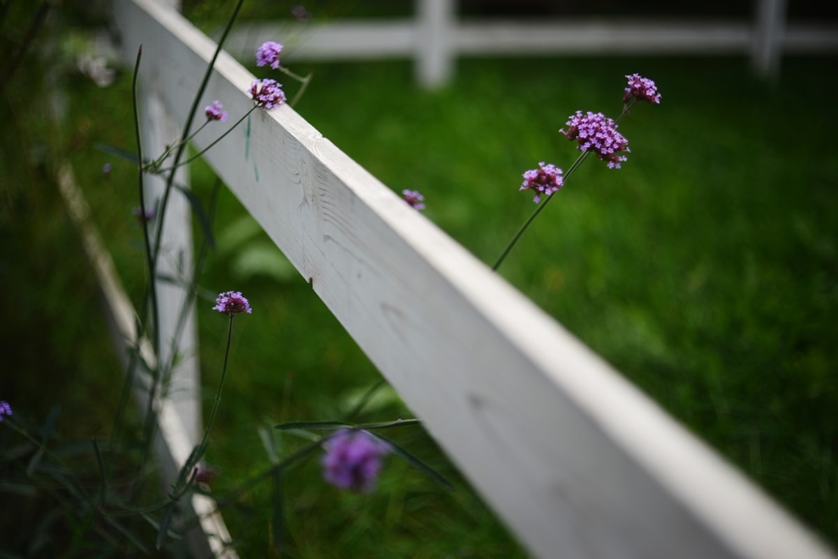 Painting a wooden garden fence with a brush in a UK garden